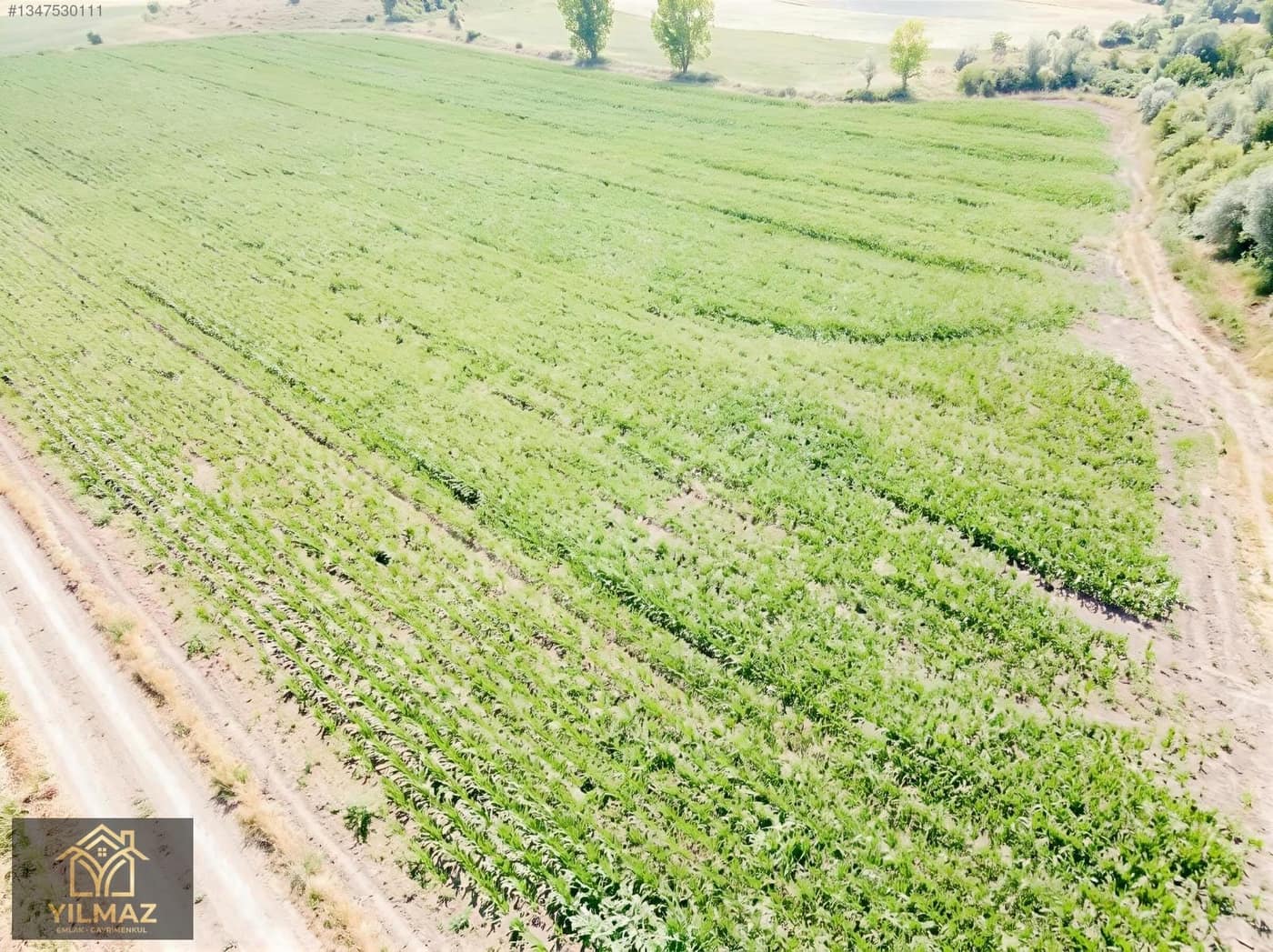 Deveci Köyü'nde Satılık 38 Dönüm Tarla